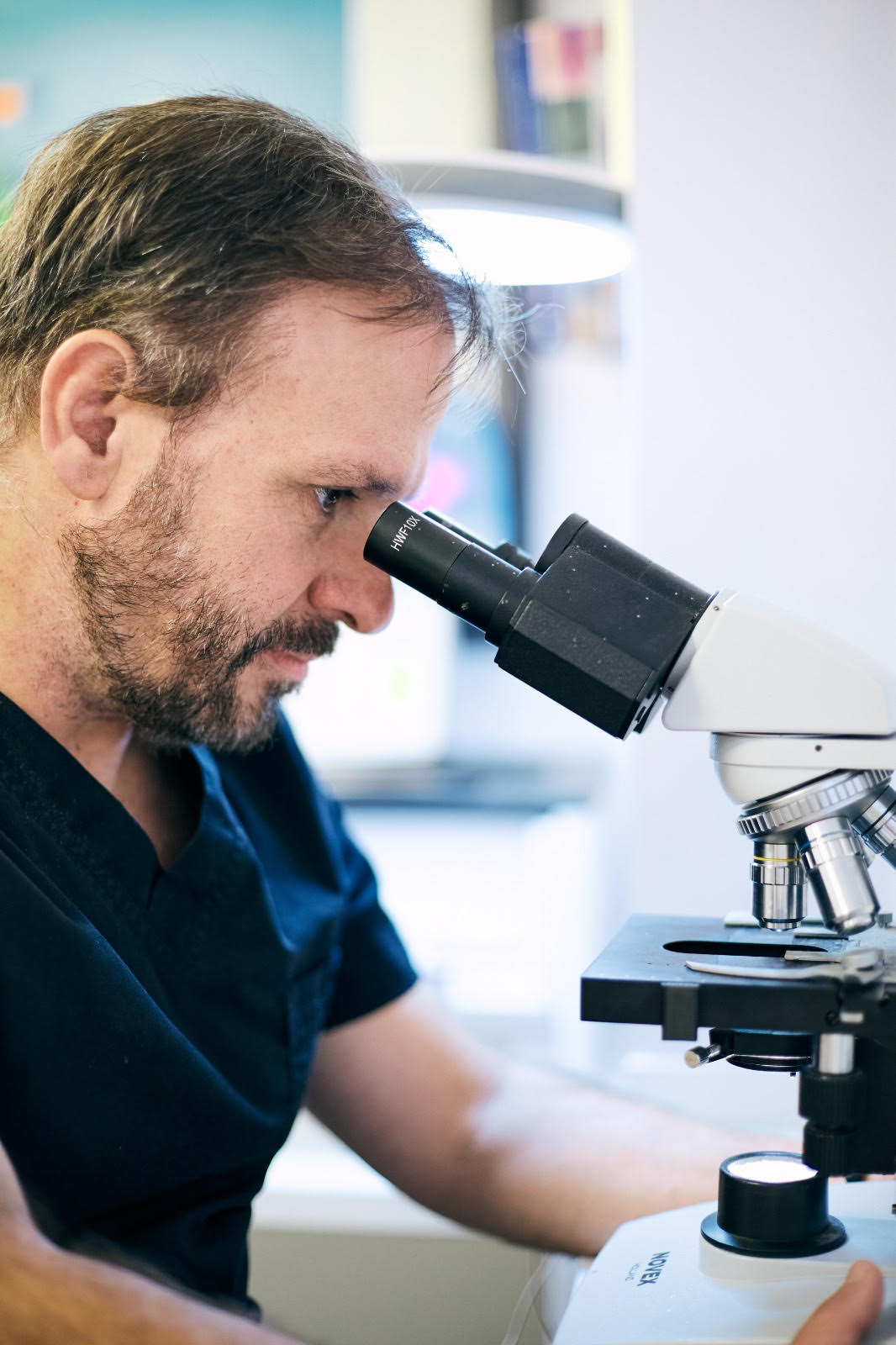 Dermacentric - Imagen 1